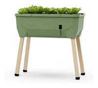 Gusta Garden Sammy Salad Raised Bed Planter For Green Leaves, Self-Watering System, 15L Water Tank, 40L Soil Capacity, Dark Green