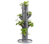 Sissi Strawberry - Planter/Pot/Plant Tower/Raised Bed for Strawberries - for Balcony, Garden and Patio - Plant Strawberries and Herbs (starter, anthracite/gray)