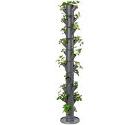 Gusta Garden SISSI STRAWBERRY easy-watering strawberry tree - Anthracite - Infinity