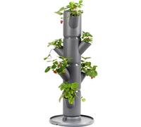 Gusta Garden Sissi Strawberry Planter Pot, Raised Bed Tower For Strawberries, 4-Level Starter, 77 Cm, 10 L Soil, Anthracite