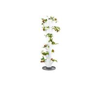 Gusta Garden Sissi Strawberry Strawberry Tree Classic White - Strawberry Raised Bed System with Wall Mount - Garden & Balcony - 113 cm height - 15L Soil Capacity