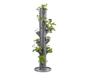 GUSTA GARDEN Sissi Strawberry Strawberry Tree Classic Anthracite - Strawberry Raised Bed System with Wall Mount - Garden & Balcony - 113 cm height - 15L Soil Capacity