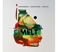 Gustafsson Melt (Vinyl) 12" Album