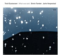 GUSTAVSEN/TANDER/VESPESTAD - WHAT WAS SAID 2 VINYL LP NEW