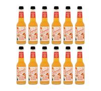 Gusto Organic Drink 275ml x 12 (Sicilian Blood Orange)