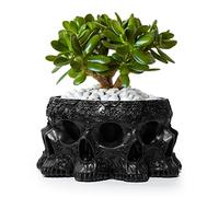 GUTE Skull Black Multifaced Planter Pot 4" Skulls Skeleton Head Pot for Succulents, Flowers, or Sweets - Creepy Gothic Décor for Garden, Home, Parties, Haunted House - or Spooky Display