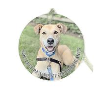 GuteGifts Personalised Pets Dogs Cats Photo Christmas Bauble Ceramics Ornaments Xmas Tree Decor Hanging Sign Santa Keepsake Gifts Animal Lover-YOU LEFT PAW PRINT ON OUR HEARTS, White