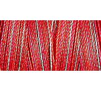 Gutermann No 30 Sulky Cotton Embroidery Thread 4005-300 Metres - Each