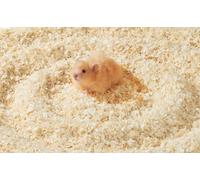 gutiest Sawdust Hamsters, Small Animal Sawdust, Rabbit Wood Shavings, Rabbit Bedding Sawdust Rabbit Pet Wood Shavings Safe Hamster Cage Bedding For Hamster Chinchillas