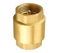 Gutol Brass Check Valve with Female Thread, DN25 Backflow Preventer Universal with Female Thread on Both Sides, 1 Inch Vertical Brass Check Valve