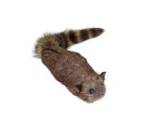 Gutol The Rocky Raccoon Robbie - Spring Animal Appearing Magic Prop for Stage & Street Illusions (Comedy Gimmick)