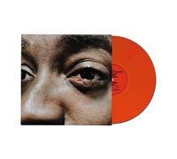 Guvna B - The Village Is On Fire [VINYL]