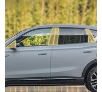 Guvsad Car Exterior Body Film B C Window Pillar Scratch Prevention Membrane TPU PPF Paint Film Accessories，for Rising Auto Marvel R 21-2023 (Carbon Fiber Style)