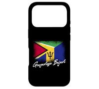 Guyanese Bajan Barbadian Roots Guyana Barbados Flag Case for iPhone 17 Pro