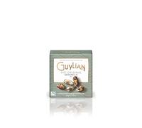 Guylian Seashells 6 Chocolates with Hazelnut Praliné Filling, 65g