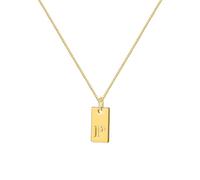 GUYOSWXNM Gold Initial Necklace for Women, Unique Gold Letter choker, Dainty Name choker, Personalized Initial Tag Pendant Necklace for Women (P)