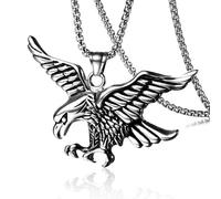 GUYOSWXNM Gothic Necklace for Men Stainless Steel Pendant Necklace Retro Tiger Wolf Dragon Eagle Pendant choker Domineering Fierce Amulet Jewelry (Eagle)