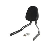 GVGFKPKZAY For CFMOTO 450CLC 250 CLC Motorcycle Rear Seat Backrest Motorcycle Driver Rider Backrest