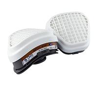 GVS SPR497 Pair of A2P3 Replacement Filters