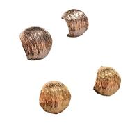 Gvvsjgdbis European and American All-Match Flowing Earring Design French Earrings Exquisite Jewelry for Women.