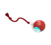 Gvvsjgdbis Interactive Cat Toys Ball for Indoor Cats Fast Rolling on Carpet, Chirping & Motion Activate Cat Toys