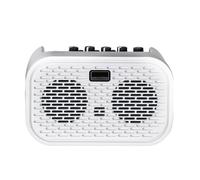 Gvvsjgdbis Mini Electric Acoustic Guitar Amplifier Portable Guitar Amp Bluetooth Distortion Delay Effects10W