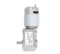 GW4058 DC 12V 24V 2-125rpm small Worm Gear motor huge torque strong Ultra low rpm(Double output shaft,24V 5RPM_PACKAGE I)