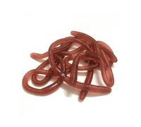 GWAWG 10 Pcs Realistic Stretchy Earthworm Scary Props, Fake Earthworm, Stretchy Toy Worms for Children, Trick Toy Suitable for April Fools Day Halloween Decoration