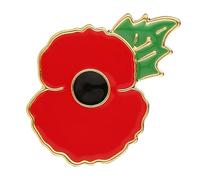GWAWG 2 Pieces Poppy Lapel Pin Flower Chest Flower Clothing Accessories