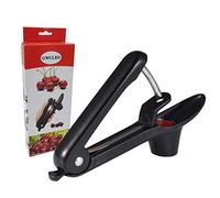 GWCLEO Cherry Pitter, Manual Olive Stoner with Stainless Steel Pitting Rod and Silicone Holder, Cherry Corer Perfect for Making Jam and Jelly(Black)