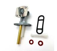 GWNSAQU Fuel Petcock Valve Assembly Fit for Polaris Trail Blazer 250 2000-2003 and Fit for Polaris Outlaw 525 IRS 2007-2008