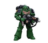 GWTCTOY JoyToy Warhammer 40K Genuine License 1:18 Action Figure, Space Marines Salamanders Intercessors Brother Haecule, 12CM Collectible Action Figures Kits