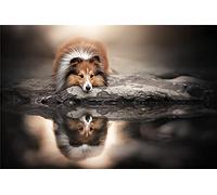 GWYDYB 5D Diamond Painting Kits for Adults,Cute Shetland Sheepdog 5D Rhinestone and Canvas Handmade Art Diamond Drawing Gifts 30×40cm