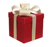 Gxdqxxd New Year Celebration Gift Box Proposal Box with Lids Paper Packaging for Events, Red 25 cm