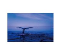 GXMDSGZ Fish Tank Background Aquarium Background Sticker Dolphin Poster Fish Tank Decoration Self Adhesive Wallpaper(54x122cm)