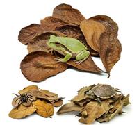 Gxsdj Dry Oak Leaf Litter,Dried Turtle Litter Leaf,Dwarf Frog Indian Almond Leaves & 30 Pcs Tortoise Longan Leaves,Helps in Lowering Aquarium Water pH for Axolotl,Betta Fish,Shrimp
