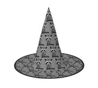 GXUNGT Cartoon Cute Raccoon Print Halloween Witch Hat,Wizard Hat,Suitable For Carnival,Christmas Masquerade,Cosplay Party