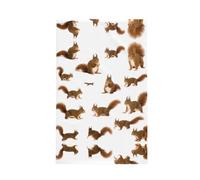 GXUNGT Cute Squirrel Print Waffle Kitchen Towels, Cute Towels,Microfiber Dishcloths,Tea Towels,Bar Towels - 1 Piece