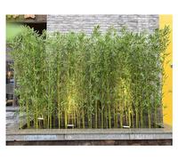 GXXINGIN Outdoor Artificial Bamboo Tree 1m 1.2m 1.5m 1.8m 2m Tall, Fake Bamboo Pole Silk Faux Tree Plant with Leaves for Garden Fence Privacy Decor Screen Courtyard Entrance (Color : 40 Bamboo, Siz