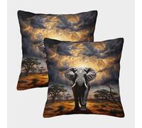 GXYUAOIEF African Elephant Cushion Covers Set of 2 Wildlife Square Pillowcases for Sofa Couch with Smooth Invisible Zip Homeware 50x50cm