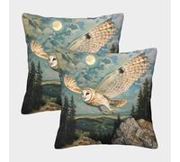 GXYUAOIEF Owl Cushion Covers Set of 2 Moonlit Night Cushion Cases Square Pillowcases for Sofa Chair Living Room with Invisible Zipper Soft Decorative 40x40cm