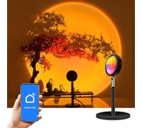 GY Bluetooth Mesh Sunset Projection Lamp with Music Sync, 360° Color Change, App Control for Living Room Decoration