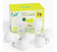 GY E27 LED Bulbs, 6.5W 1050LM, 3000K Warm White, Equivalent to 75W, Long Lifespan, Low Consumption, Energy Saving LED A60, Non-Dimmable, 6 Pieces