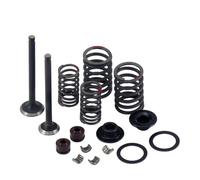 GY50-4027A GY6 50cc 60cc 80cc Inlet/Exhaust Sets 64mm/69mm for GY6 50cc 4 Stroke Chinese Scooter Moped 1P39QMB Engine(MIGY50-4027A-69mm)
