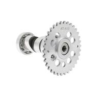 GY6 125cc 150cc High Performance Racing Camshaft for 152QMI 157QMJ Scooter ATV, A8 A9 A10 A11 A12 A13 A14 A15 Cam Shaft(AT-A13)