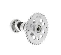 GY6 125cc 150cc High Performance Racing Camshaft for 152QMI 157QMJ Scooter ATV, A8 A9 A10 A11 A12 A13 A14 A15 Cam Shaft(AT-A9)