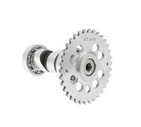 GY6 125cc 150cc High Performance Racing Camshaft for 152QMI 157QMJ Scooter ATV, A8 A9 A10 A11 A12 A13 A14 A15 Cam Shaft(AT-A10)