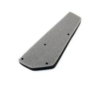 GY6 Air Filter Sponge for Peu Kisbee 50 Puma Angle Armor Beyond En Jakester Juliet Road Star 50cc 4-Stroke Model Replacement