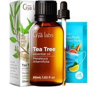 Gya Labs Tea Tree Essential Oil for Fuller Hair & Scalps - 100% Pure and Natural Tea Tree Oil for Face, Skin, Nails & Aromatherapy - 30ml - Non-GMO Melaleuca Alternifolia Oil for Soap Making