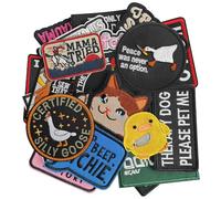 GYGYL 12 Pieces Random Tactical Morale Patches Bundle, Embroidery Hoop and Look Patch Set for Caps, Bags, Backpacks, Vest, Military Uniforms,Tactical Gears Etc
